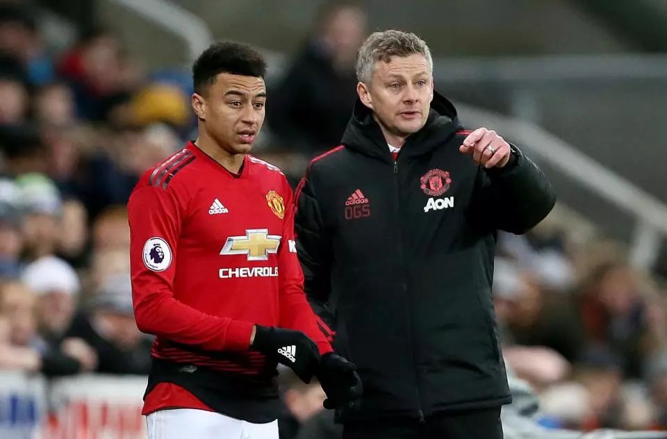 的续约不仅 的续约不仅